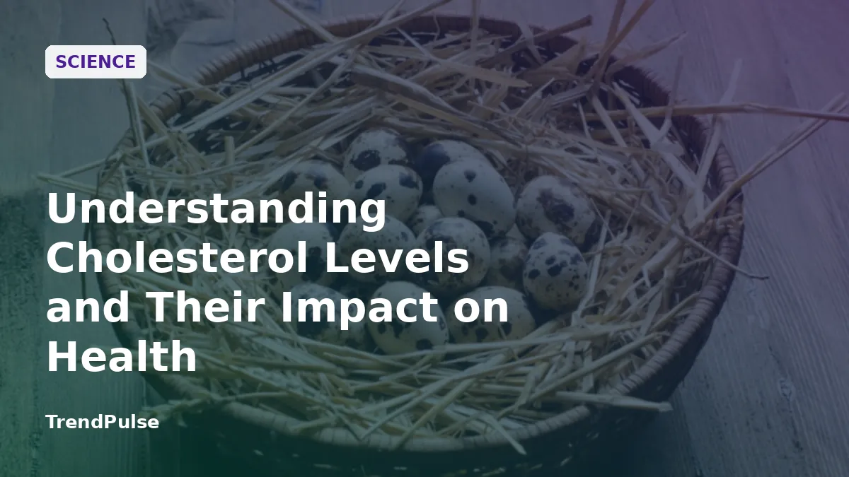 Understanding Cholesterol Levels and Their Impact on Health